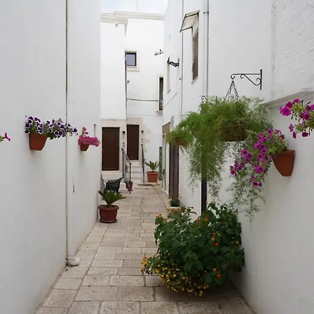 Terrae 3*