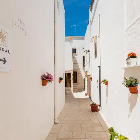 Terrae * Mesagne